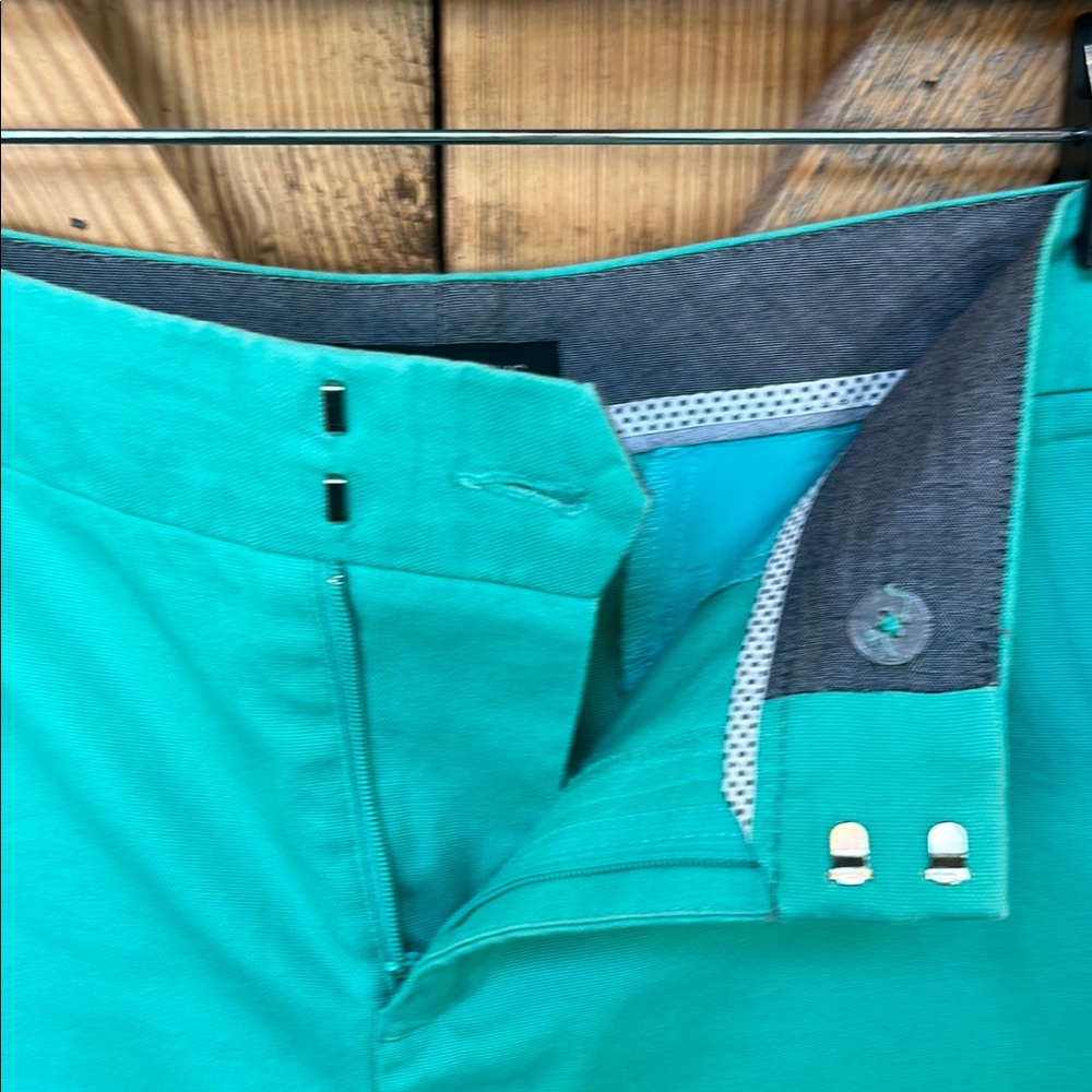 Banana Republic Shorts with Flat Front Design - Picture 5 of 7